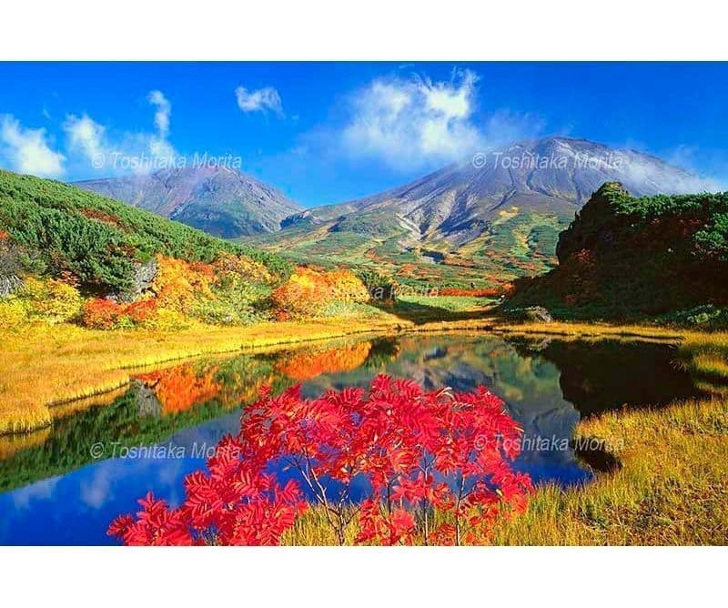 ナナカマド紅葉と旭岳と熊ヶ岳　大雪山