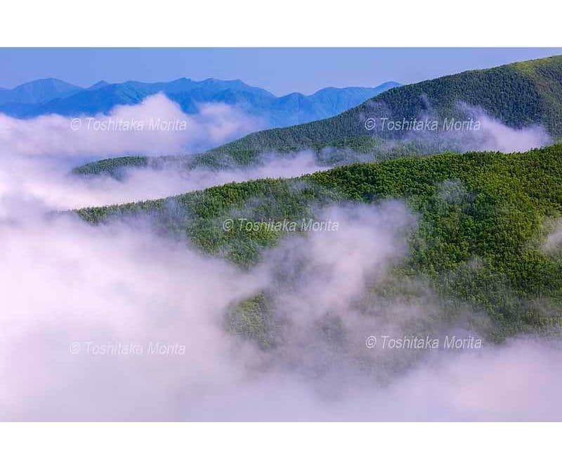 アポイ岳馬の背付近より雲海と日髙山脈