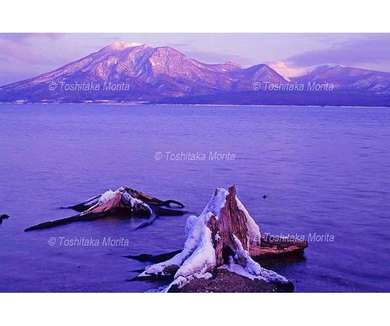 夕日に染まる支笏湖美笛より雪の風不死岳