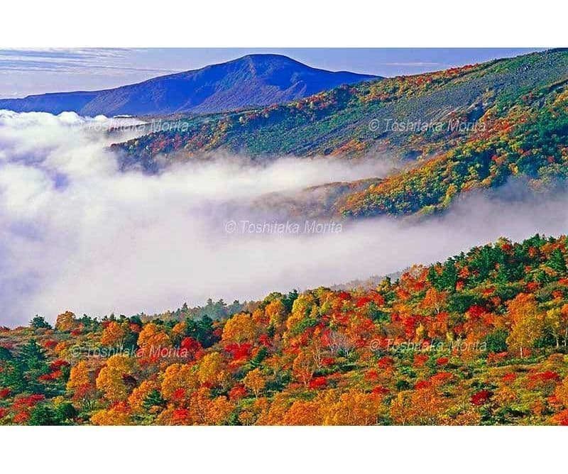 紅葉の天狗の庭と雲海と安達太良山朝景　吾妻