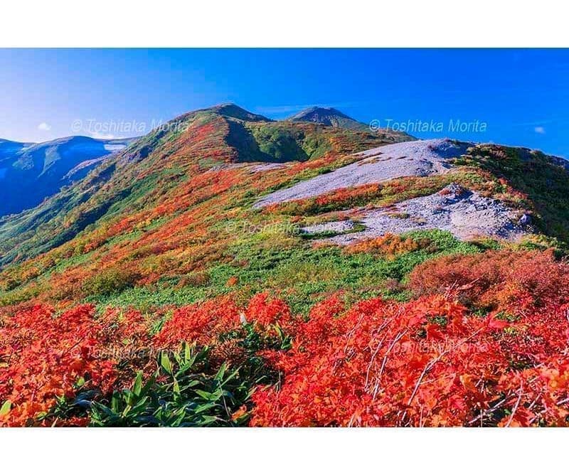紅葉の草履塚斜面と飯豊山　飯豊連峰