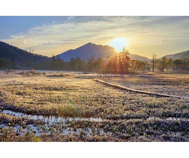 ミズバショウ咲く尾瀬ヶ原　植物研究見本園より燧ヶ岳と朝日
