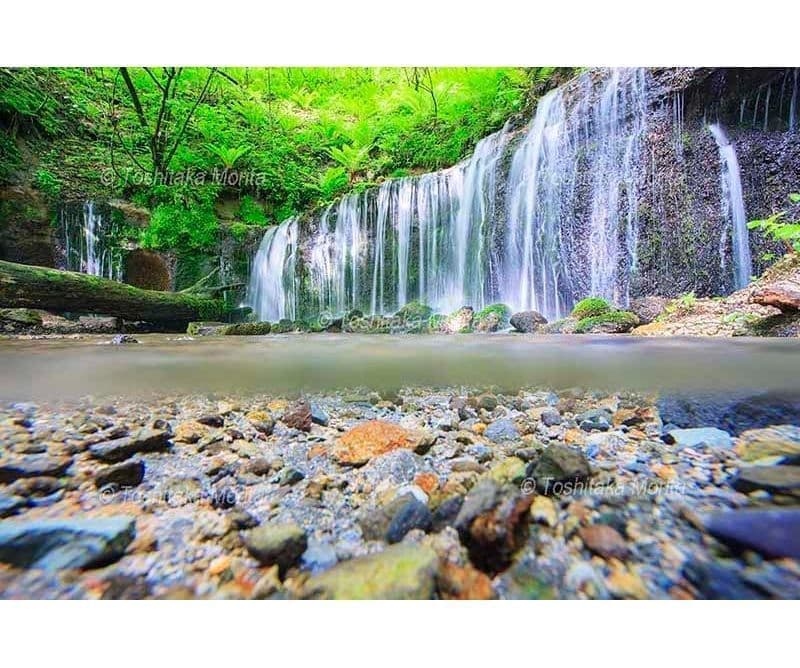 水中と新緑の白糸の滝