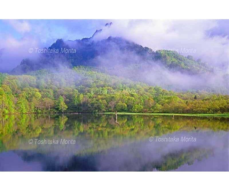 萌黄の鏡池から朝霧の戸隠山　戸隠高原