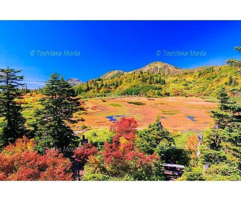 紅葉の高谷池より火打山