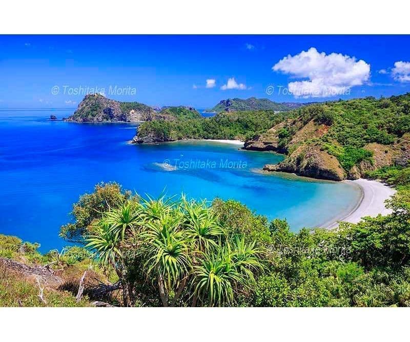 中山峠より小港海岸と野羊山 父島