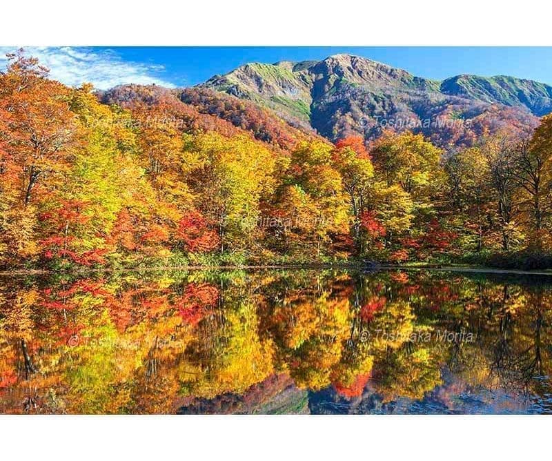 紅葉の刈込池より三ノ峰
