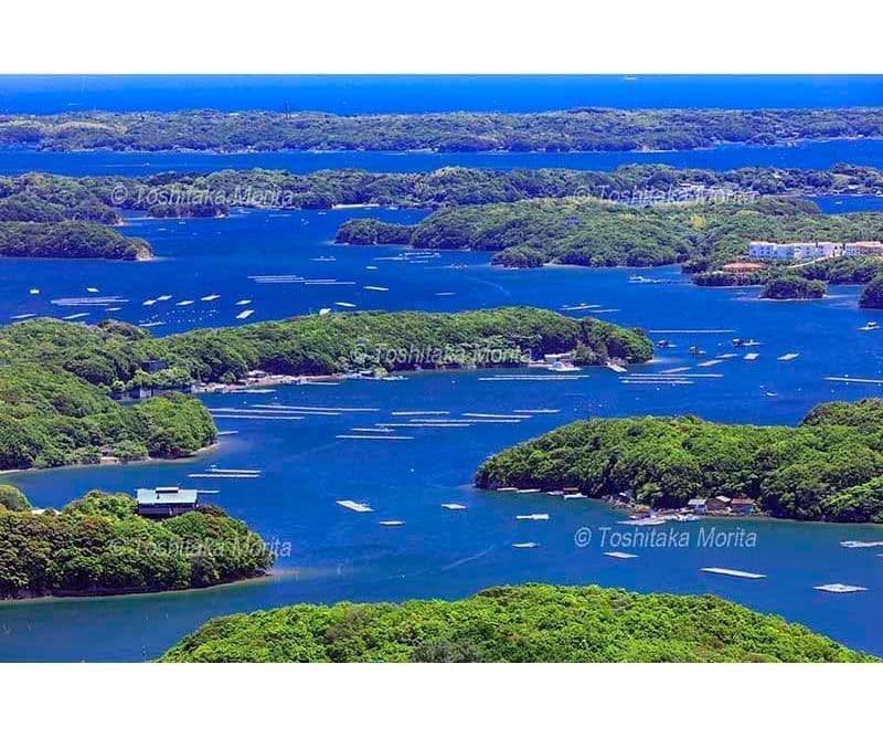 横山よりリアス海岸を展望する英虞湾