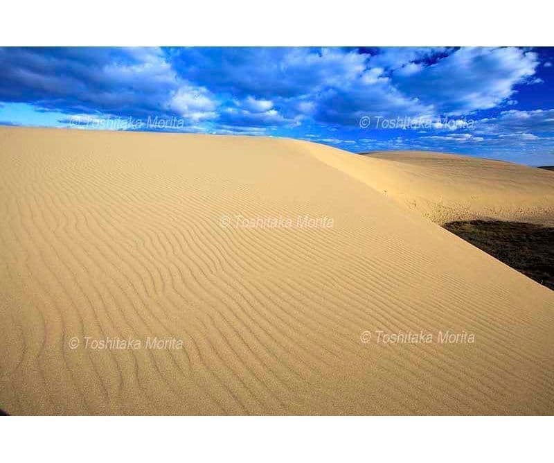 鳥取砂丘風紋
