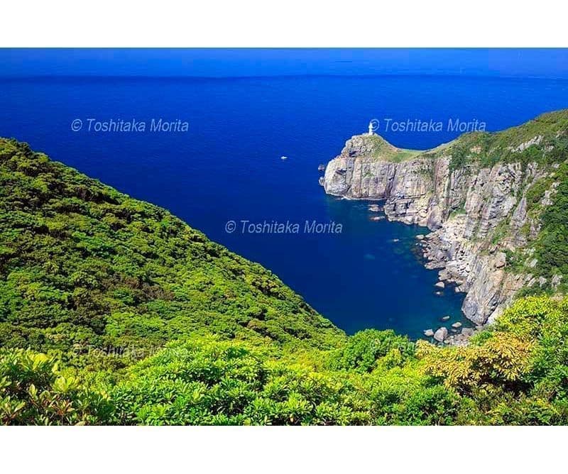 新緑の大瀬埼灯台