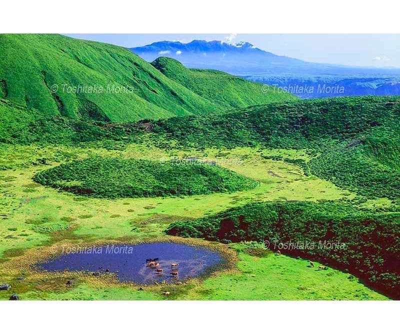 噴火口跡群からくじゅう連山を望む