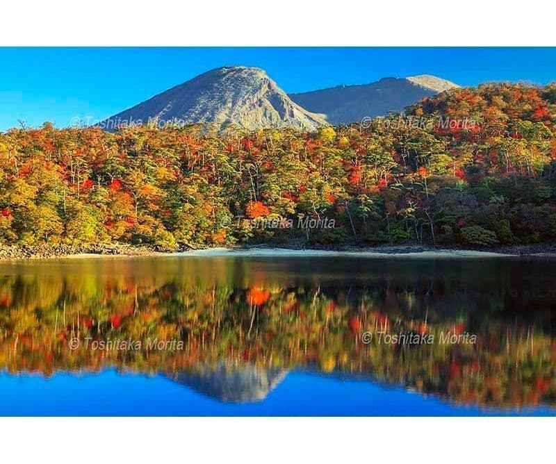 夕日に染まる紅葉とアカマツ林の六観音御池から韓国岳