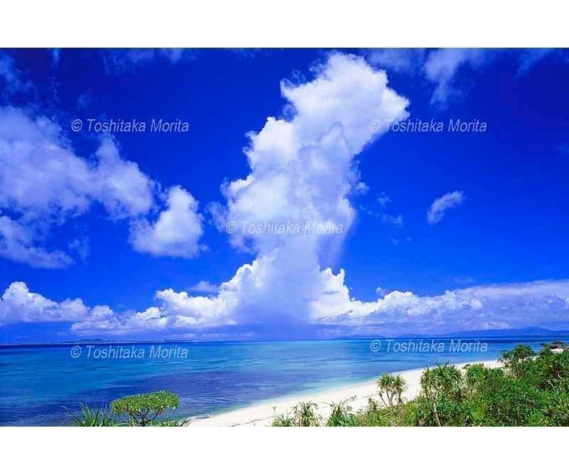 アダンが茂る黒島西ノ浜から入道雲とスコール　黒島