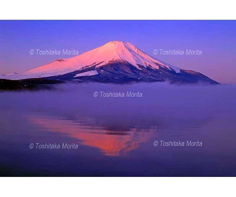 朝霧漂う山中湖の紅富士