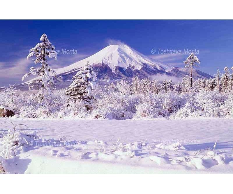 雪晴れの真っ白に眩しい雪景色と富士山　山梨県