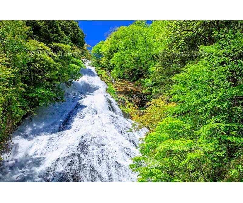 新緑の萌ゆる湯滝　日光