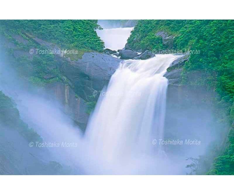 増水の水飛沫でけむる千尋の滝