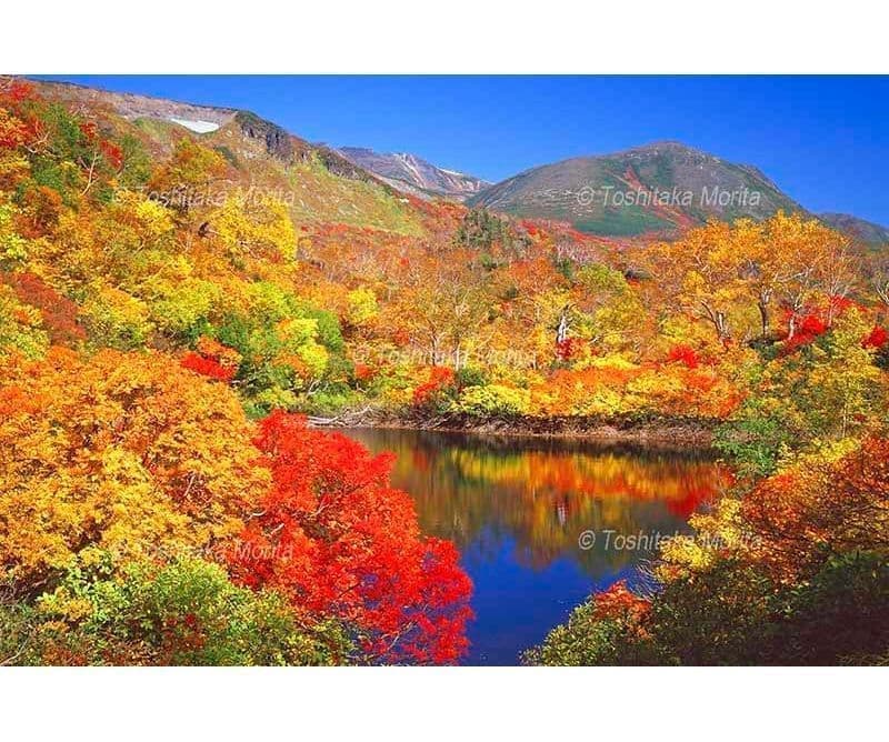 紅葉のえぞ沼から緑岳を望む