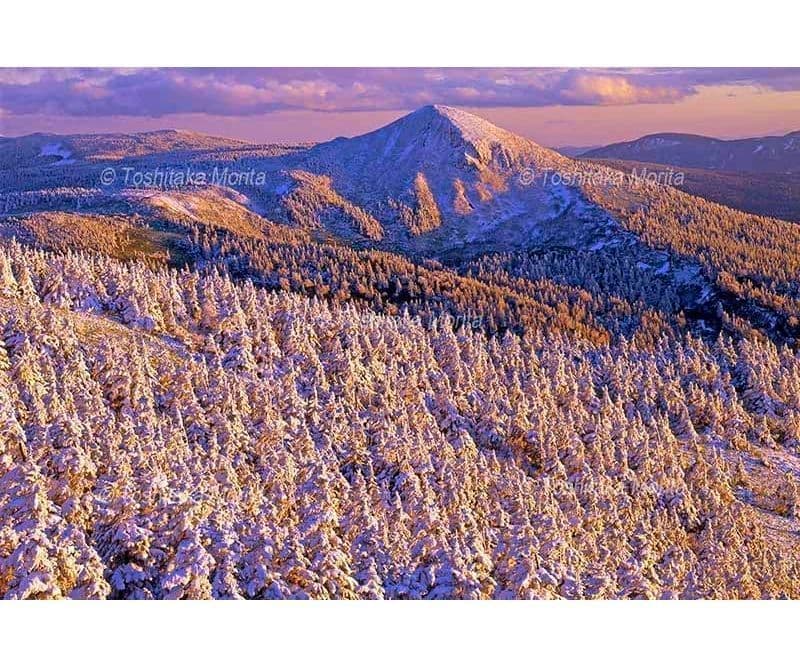 アオモリトドマツ樹氷と畚岳の夕映え