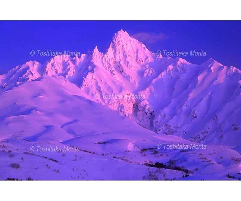 朝日に染められた利尻富士