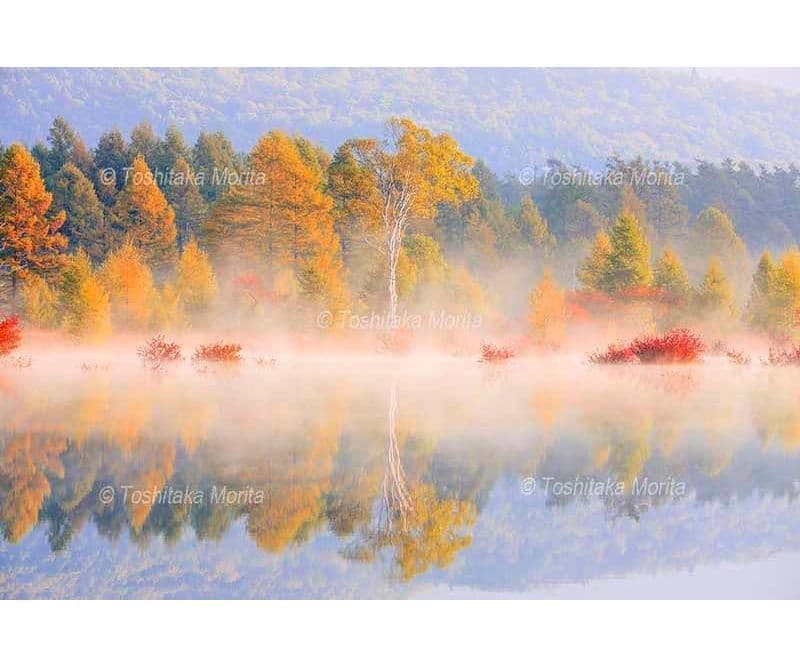 朝霧漂う秋の小田代原湿原水鏡
