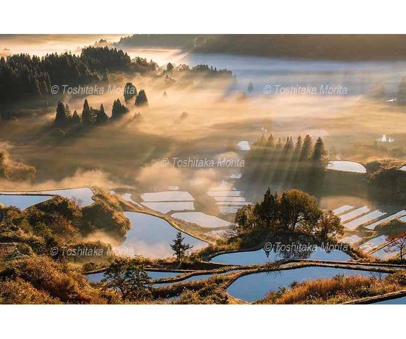 雲海晴る星峠の棚田朝景