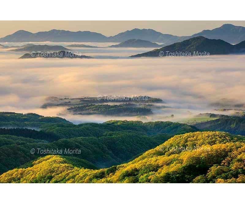 鬼女台より新緑の蒜山高原の雲海　岡山県