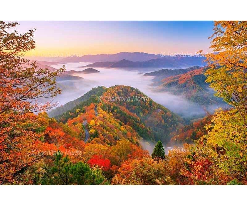紅葉のおにゅう峠より雲海の山並み朝景