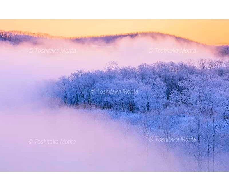 霧氷の木立朝景　釧路川