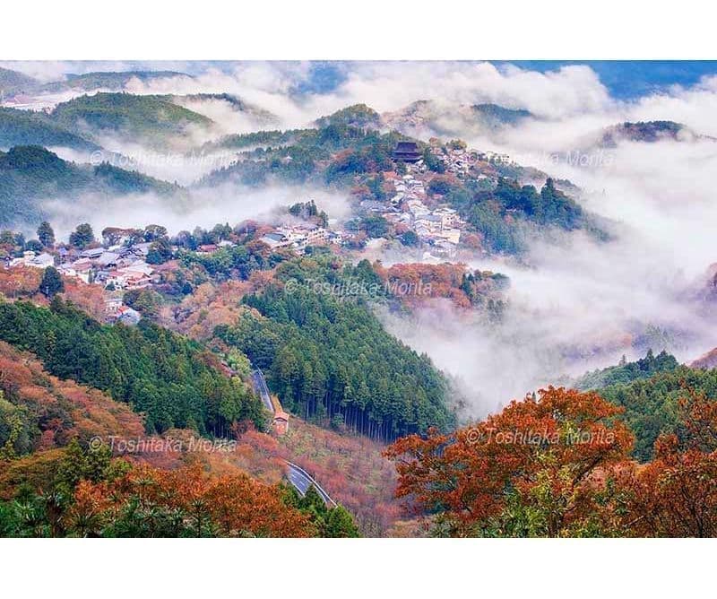 紅葉の吉野山上千本から雲海と金峯山寺