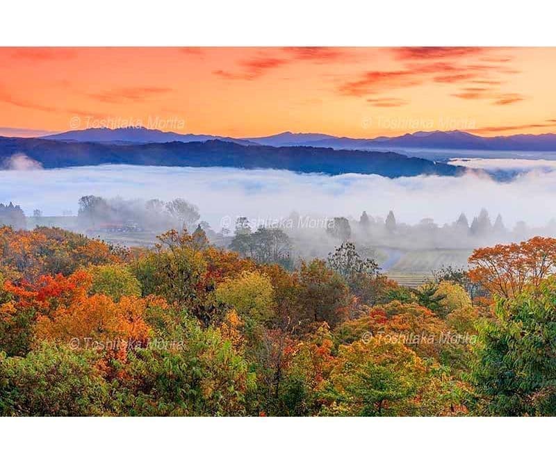 山本山高原より紅葉と雲海と山並朝景
